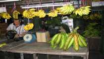 kuching (WxH) - frutta (anche da cuocere)