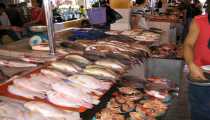 mercato (WxH) - ....