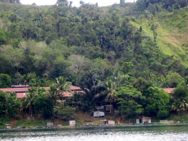 Scarica versione non compressa borneo (WxH)