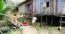 borneo (WxH) - ..