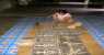 borneo (WxH) - ...