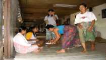 borneo (WxH) - ...