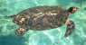 islas del rosario (WxH) - incontro interessante...