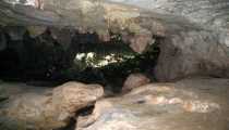 borneo (WxH) - grotte nella foresta