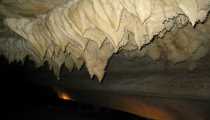 borneo (WxH) - ...