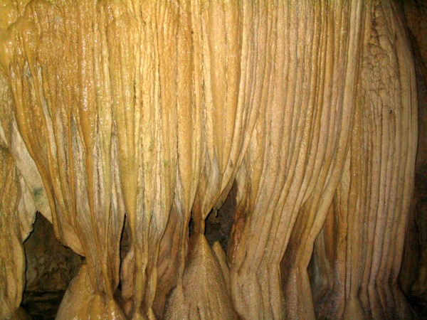 Scarica versione non compressa borneo (WxH)