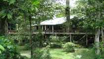 borneo (WxH) - residence.. a Mulu