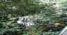 borneo (WxH) - ...