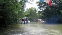 foresta (WxH) - nei canali..