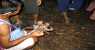 turtle island (WxH) - ..qualcuno lo cattura..