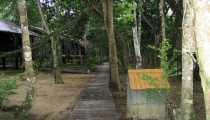 sukau (WxH) - sukau wildlife river lodge
