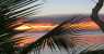 mataking (WxH) - ..tramonto..