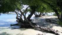 mataking (WxH) - ..sulla riva del mare
