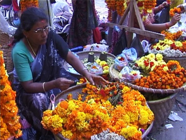 Scarica versione non compressa PATAN (WxH)