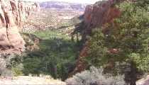 betatakin (WxH) - rovine anasazi
