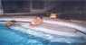 a casa (WxH) - 1999 Kevin e Karoline in piscina