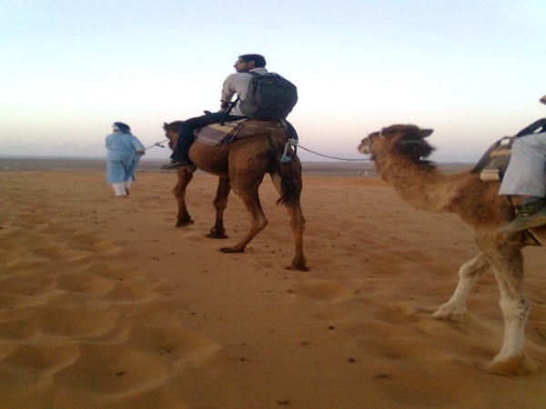 Scarica versione non compressa merzouga dune (WxH)