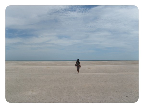 Scarica versione non compressa SHELL BEACH (WxH)