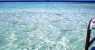 LUKNEAR (854Wx556H) - RANGIROA : sconsigliato fare il bagnetto...vedi la prossima...