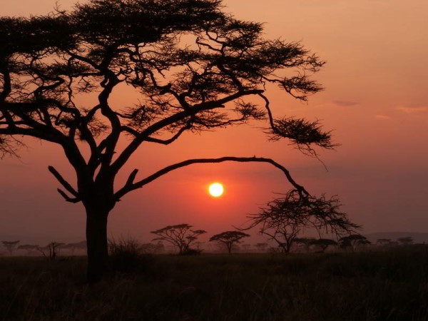 Scarica versione non compressa african sunset (WxH)