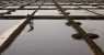 salina (WxH) - -