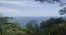 vacanziera (WxH) - Manuel Antonio