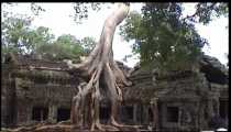 angkor (WxH) - il templio simbolo della Cambogia