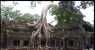 angkor (WxH) - il templio simbolo della Cambogia