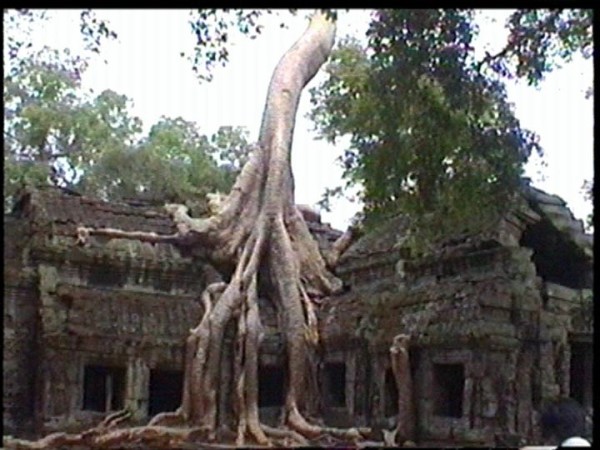 Scarica versione non compressa angkor (WxH)