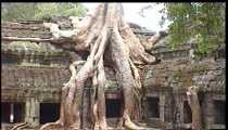 angkor (WxH) - ..particolari..