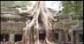 angkor (WxH) - ..particolari..