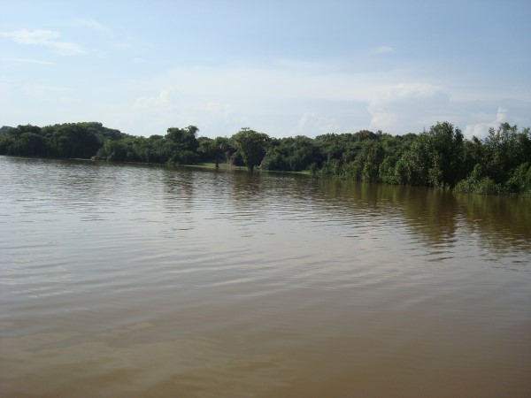 Scarica versione non compressa amazzonia (WxH)