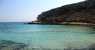 cala, cala (WxH) - cala pulcino
