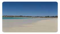CORAL BAY (WxH) - .....