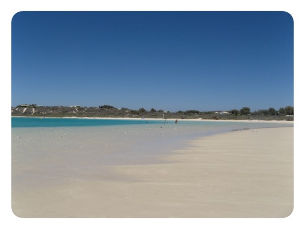 Scarica versione non compressa CORAL BAY (WxH)