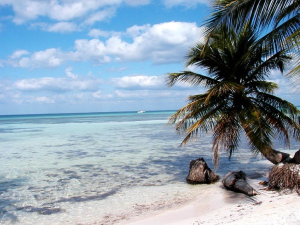 Scarica versione non compressa rep. dominicana (1024Wx768H)