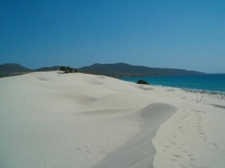 Scarica versione non compressa PORTOPINO (WxH)