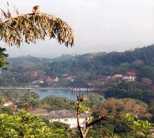 Scarica versione non compressa srilanka (501Wx600H)