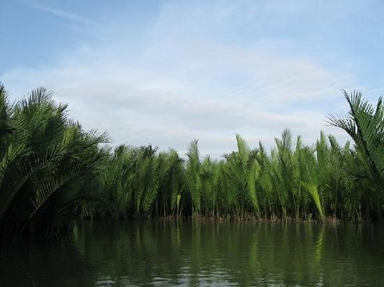 Scarica versione non compressa port antonio (WxH)