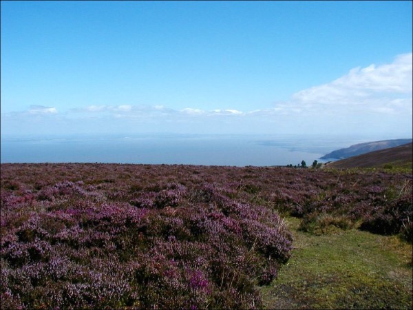 Scarica versione non compressa england (1020Wx766H)
