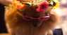 27 (WxH) - .