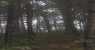 70 (WxH) - .
