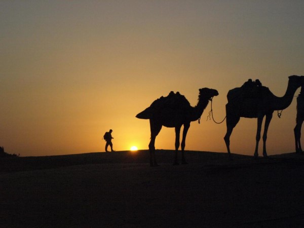 Scarica versione non compressa Tour in deserto (WxH)