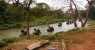 thailandia (640Wx480H) - thailandia