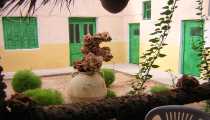 douz (WxH) - douz:l'hotel del mio amico eric si chiama hotel esaada...ma che caldo in agosto