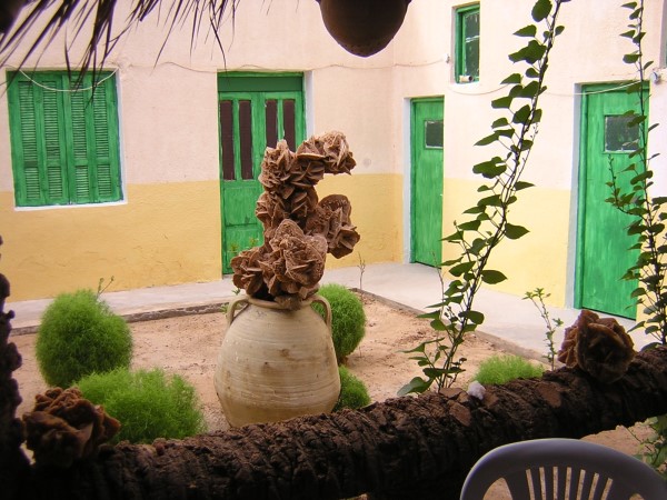 Scarica versione non compressa douz (WxH)