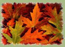 Weekend di autunno
