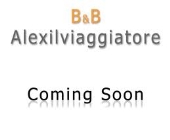 Alexilviaggiatore4