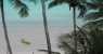 tioman (WxH) - donoratico (Li)