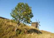 http://www.sanpietroburgo.it/crociera.asp